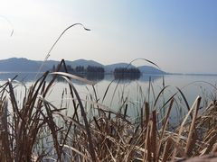 -东湖落雁景区