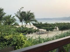 -渔家火锅·海鲜自助餐·演艺(亚龙湾天域酒店)