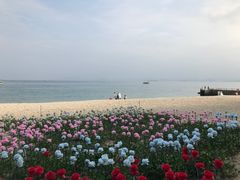 -玫瑰海岸文化旅游度假区