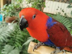 -南宫五洲植物乐园