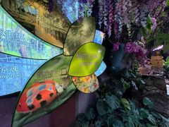 -正佳雨林生态植物园