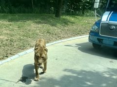 -北京野生动物园