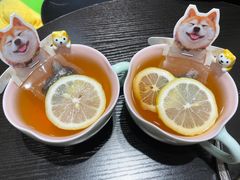 -逗柴咖啡屋·狗咖猫咖宠物桌游
