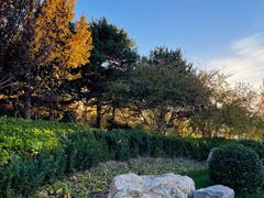 -元大都城垣遗址公园