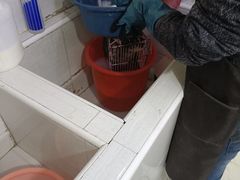 -酷狗靓猫宠物·洗护·美容·寄养(航北路店)