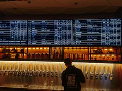 -麦落精酿啤酒餐吧(先农大院店)