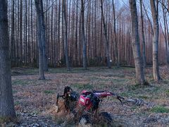 -黄海国家森林公园