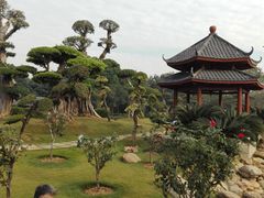-南宁南湖公园