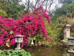 -深圳国际园林花卉博览园