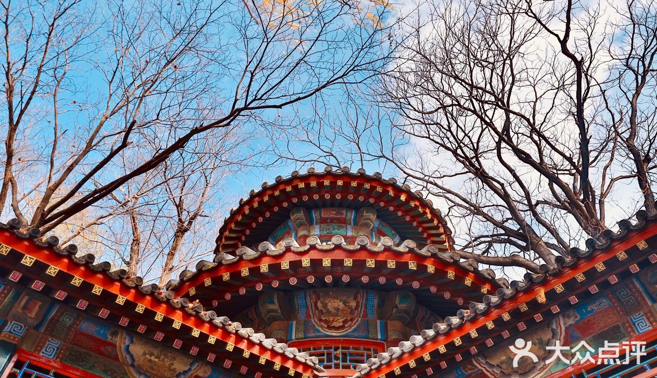 初冬的颐和园，由后山石阶而上，少有游客，唯闻雀儿鸣叫