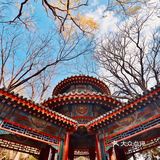 初冬的颐和园，由后山石阶而上，少有游客，唯闻雀儿鸣叫