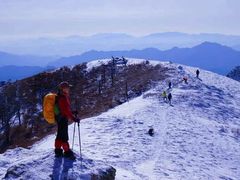 -秦岭风景区