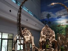 -自贡恐龙博物馆