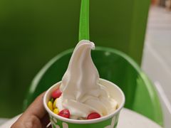 -Salud撒露欧洲冻酸奶(五道口购物中心店)
