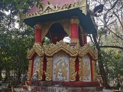 -瑞丽独树成林风景区