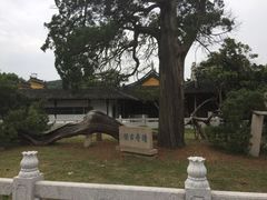 -司徒庙