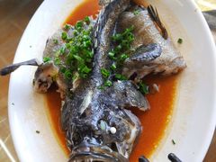 清蒸老虎斑-明记海鲜大排档(巽寮湾店)