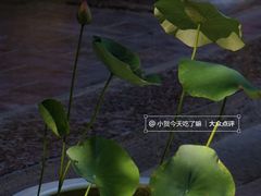 -西安市广仁寺