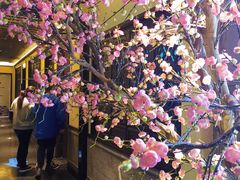 -老淮安·淮安菜(涟水店)
