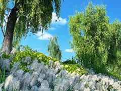 -咸阳湖景区