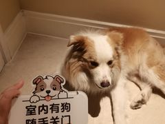 -阳澄湖费尔蒙酒店
