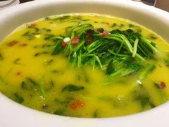 -粗茶淡饭•陕菜•家常菜