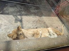 -西安秦岭野生动物园