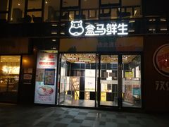 -盒马鲜生(大行宫店)