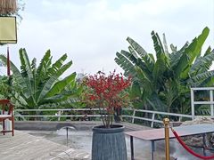 -三圣花乡旅游区