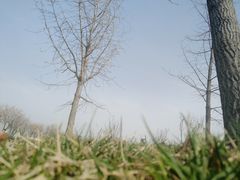 -洨河生态公园