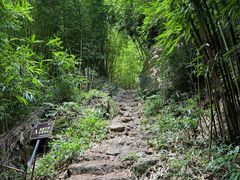 -井空里大峡谷