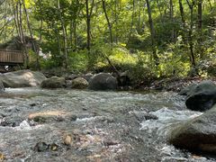 -云岫谷游猎自然风景区