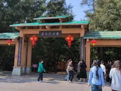 -北海金海湾红树林生态旅游区