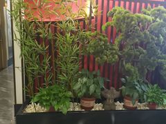 -洞庭家宴·头牌甲鱼(广渠门店)