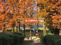 -腾冲北海湿地