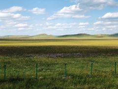 -塞罕坝国家级自然保护区