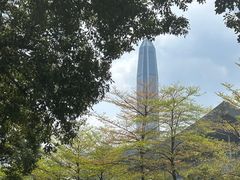 -梧桐山风景名胜区