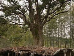 -闪电修企业手机电脑回收(西湖风景名胜区店)