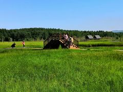 -塞罕坝国家级自然保护区