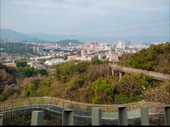 -福道