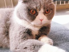 -KingBull私教健身&格斗订制(龙井商业中心店)