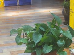-潮牛禾记•潮汕鲜牛肉火锅(新亚洲店)
