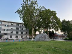 -山东大学(趵突泉校区)