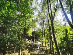 -风云岭森林公园