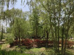-燕郊植物园