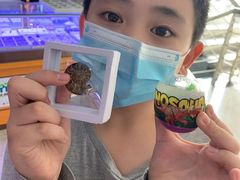 -中国地质大学逸夫博物馆