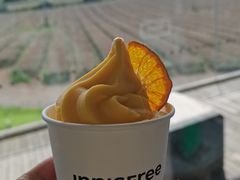 -雪绿茶博物馆