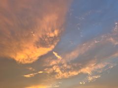 -福田红树林生态公园