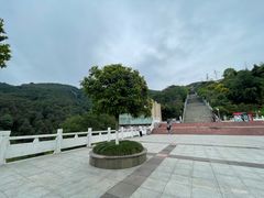 -铁山坪森林公园