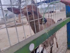 -武汉紫薇都市田园